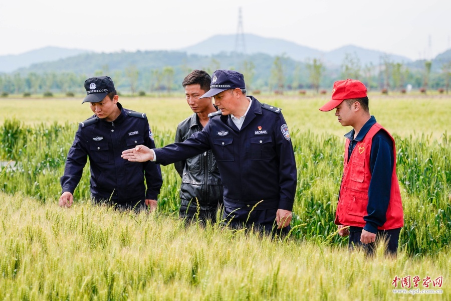陈飞：行走在山野间的&ldquo;白衬衫&rdquo;