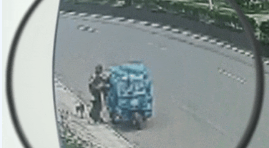 以案释法丨那个偷狗的被抓了！