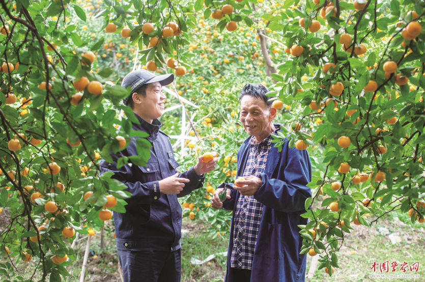 橘熟时节访民情