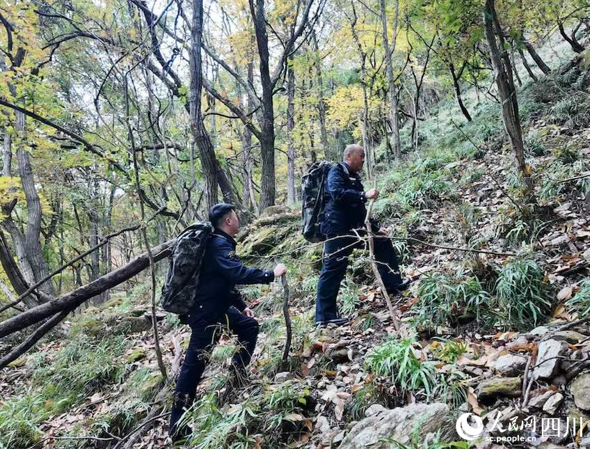&ldquo;熊猫警察&rdquo;见证青山之变