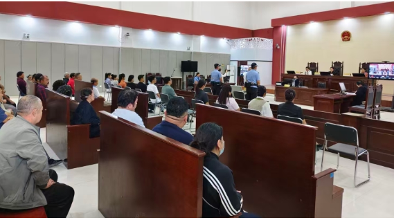 有能力履行执行案款却恶意逃避，获刑！