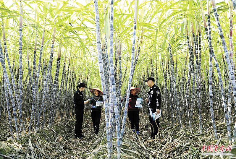 走进田间地头，向群众开展法治宣传。