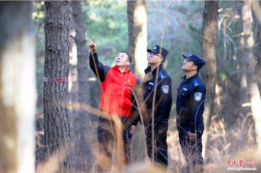 山河秀丽景色新 生态保护步履忙