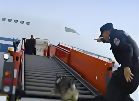 公安部部署开展本土警用犬种推广工作 打造中国警犬自主品牌