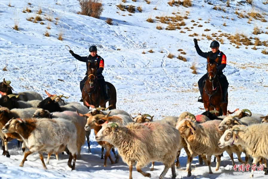 甘肃省肃南裕固族自治县公安局骑警队深入牧区腹地走访
