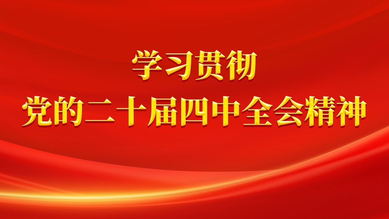 学习贯彻党的二十届四中全会精神丨入脑入心，见行见效