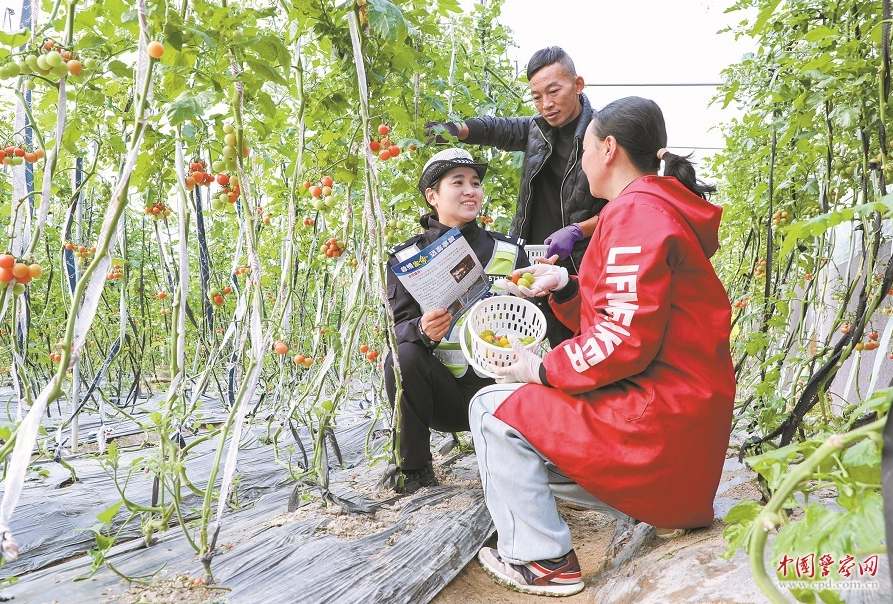 浙江省浦江县公安局交通管理大队民警走进辖区果蔬种植基地向果农普及交通安全知识