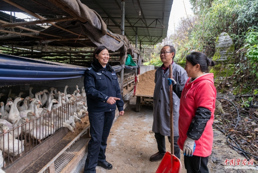 杨永霞：驻守乡土践初心 倾力耕耘促振兴