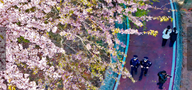 德化县公安局全力做好巡逻防控、隐患排查和服务游客等工作，护航赏花游。 