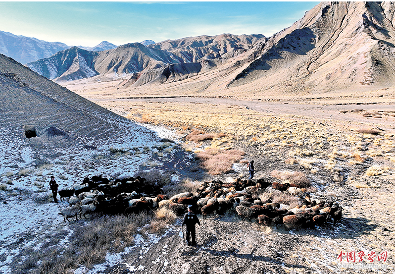 法治春风进牧区
