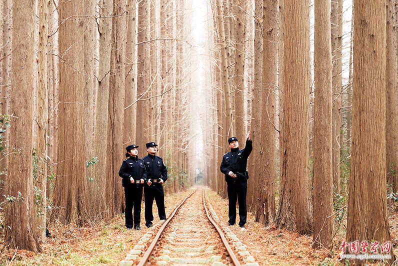 江苏省宝应县公安局画川派出所组织民警辅警加强林区巡逻检查