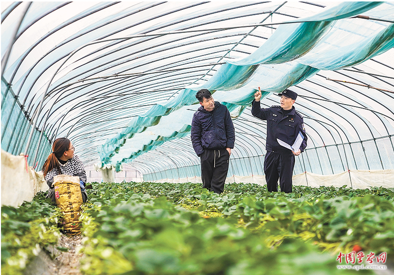 浙江省舟山市公安局普陀区分局民警来到辖区蔬菜大棚，开展安全生产巡逻检查。