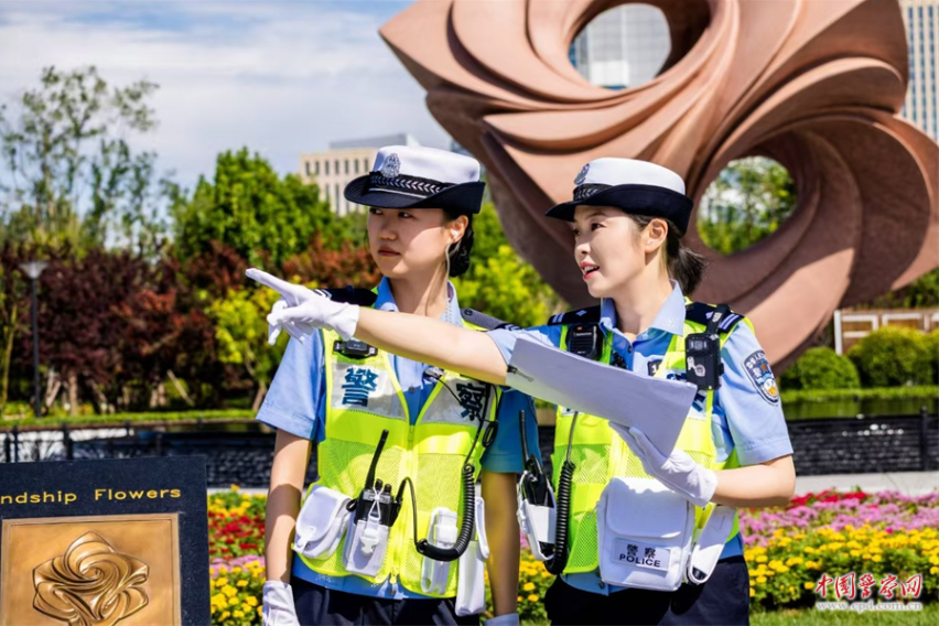 绽放在津门迎宾线上的&ldquo;向阳花&rdquo;