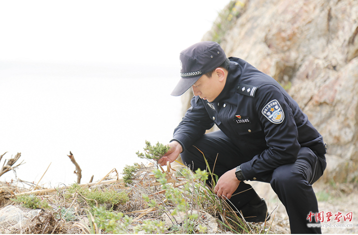 邹元坤：韭山列岛上守护&ldquo;神话之鸟&rdquo;