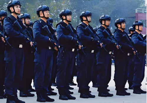 牢记总书记嘱托&middot;公安新答卷丨新时代法治公安建设成就斐然