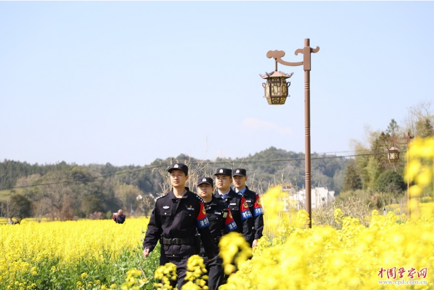 婺源全域联动守护金色花海