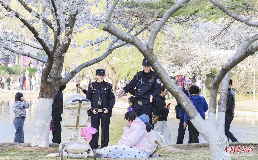 海淀分局民警守护群众平安赏花