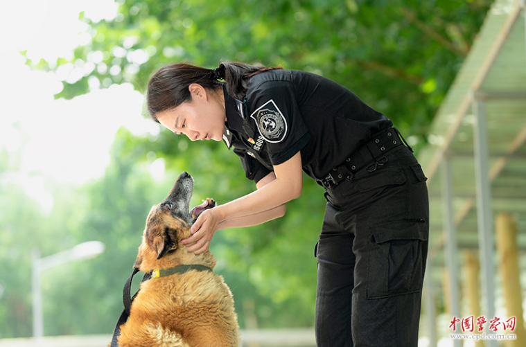 沈秀丽：笔书犬伴 共谱传奇