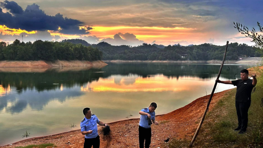 公安机关依法严厉打击危害生态安全犯罪