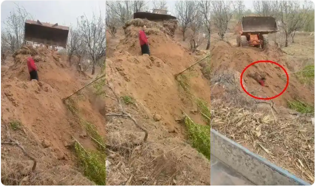 被原村支书驾铲车推土掩埋村民仍在医院输液，辟谣&ldquo;警察围观&rdquo; 说法，警察到场后立即制止