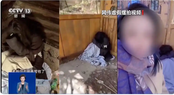 央视披露系摆拍！3人被行拘