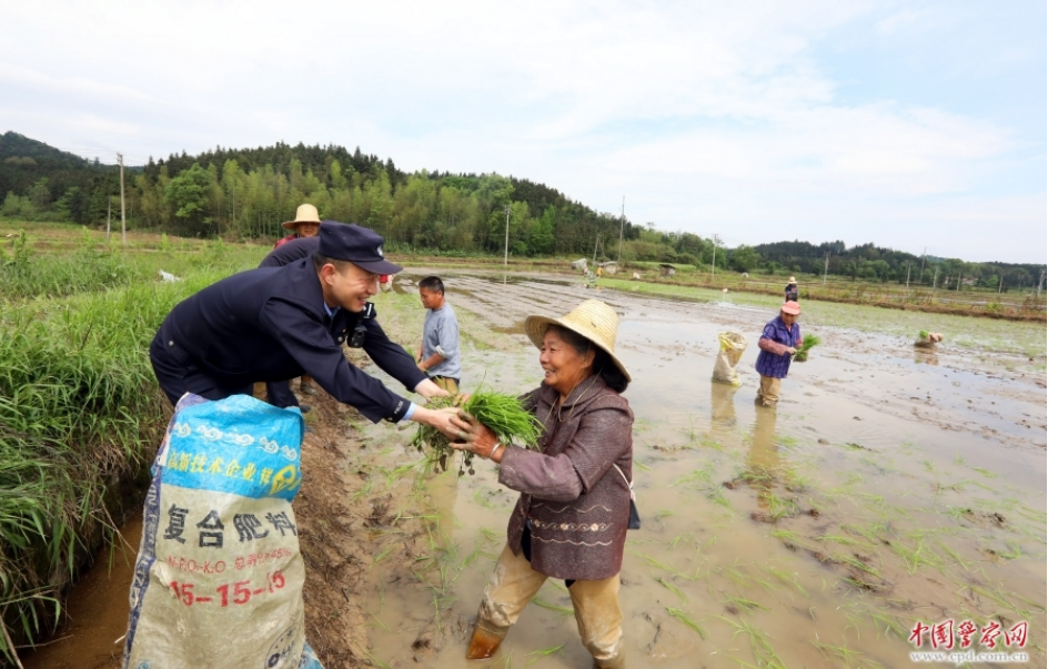 江西省分宜县公安局钤山派出所组织民警辅警在田间开展助农服务，并向村民宣传安全防范知识